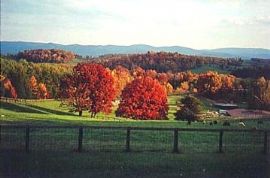 12797_Autumnview